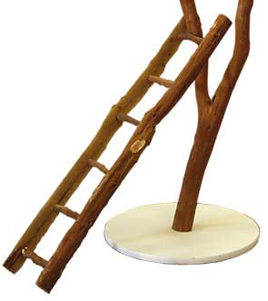Ribbonwood Split Log Ladder