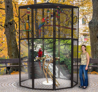 Large Macaw Cages