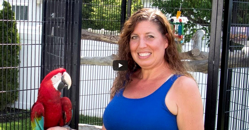 Suncatcher Bird Enclosure Testimonial from Wendy and Eric