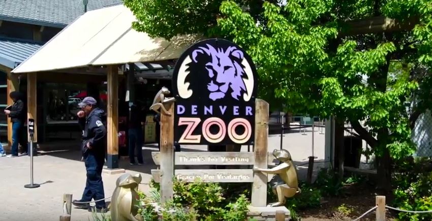 denver zoo cage testimonial
